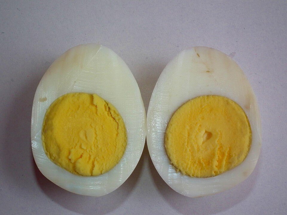 egg